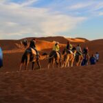 trip, adventure, camel caravan-1422608.jpg